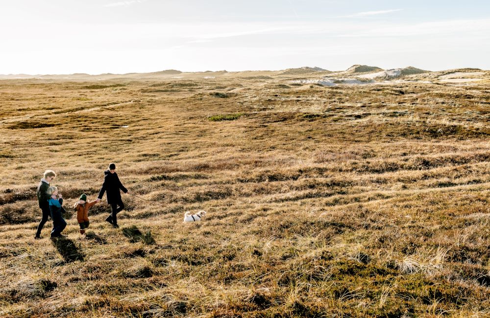 Gåtur Klitmøller Sightsee+