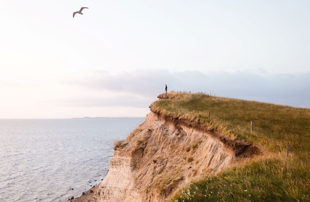 Udsigt Limfjorden Sightsee+