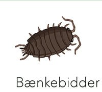 Bænkebidder Sightsee+