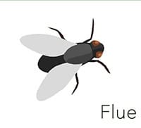 Flue Sightsee+