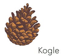 Kogle Sightsee+