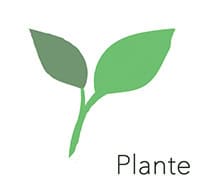 Plante Sightsee+